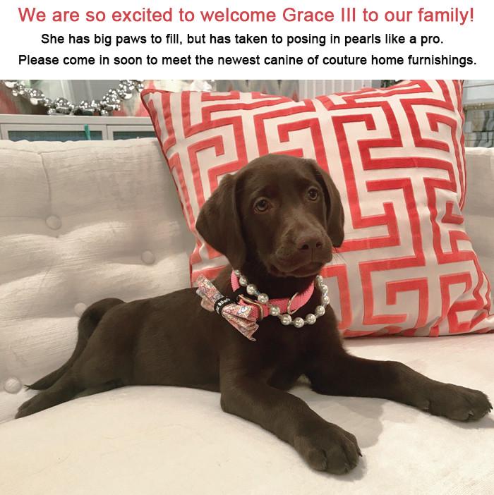We are so excited to welcome Grace III to our family! She has big paws to fill, but has taken to posing in pearls like a pro. Please come in soon to meet the newest canine of couture home furnishings.