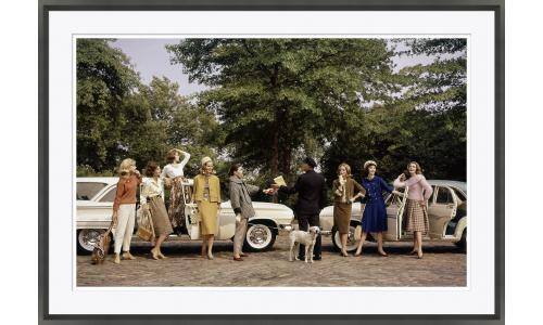 Women with Cars & Dogs